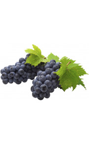 Capella - Concord Grape with Stevia 10мл