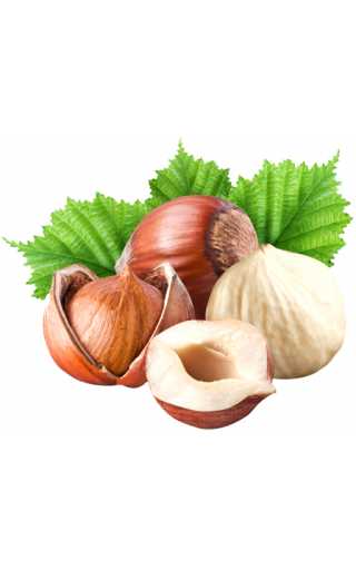 TPA - Hazelnut 10мл