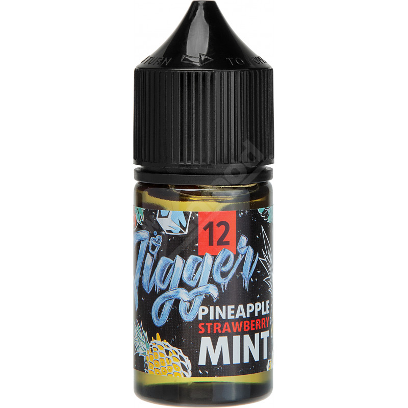 Фото и внешний вид — PANDA'S JIGGER SALT - №12 Pineapple Strawberry With Mint 30мл