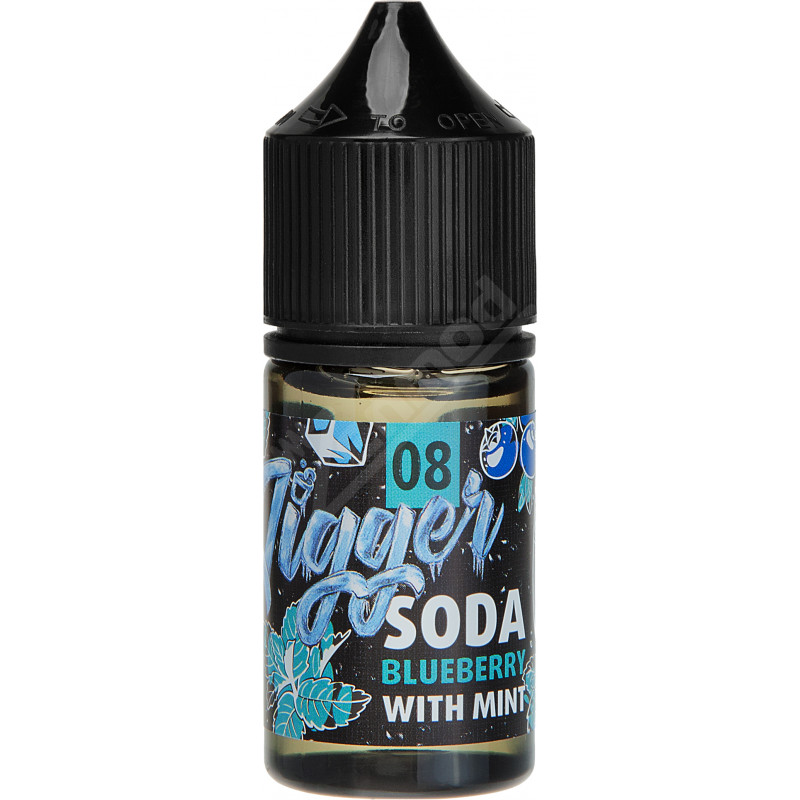 Фото и внешний вид — PANDA'S JIGGER SALT - №8 Soda Blueberry With Mint 30мл